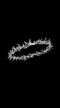 THORN CROWN